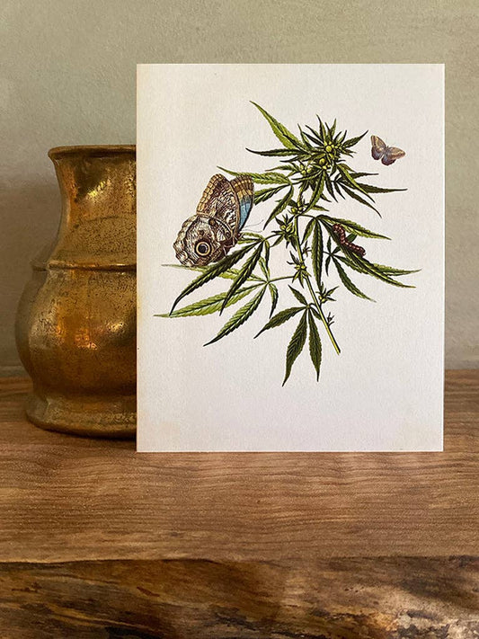 Greeting Card | Cannabis