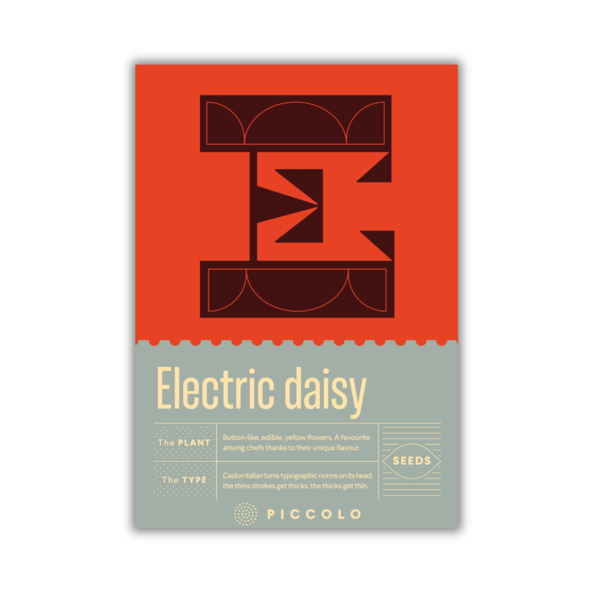 E - Electric daisy