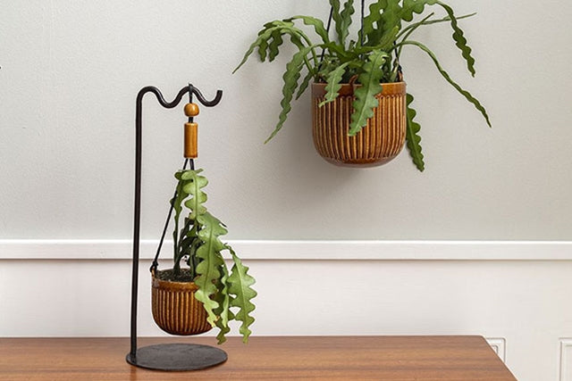 Irwin Hanging Planter