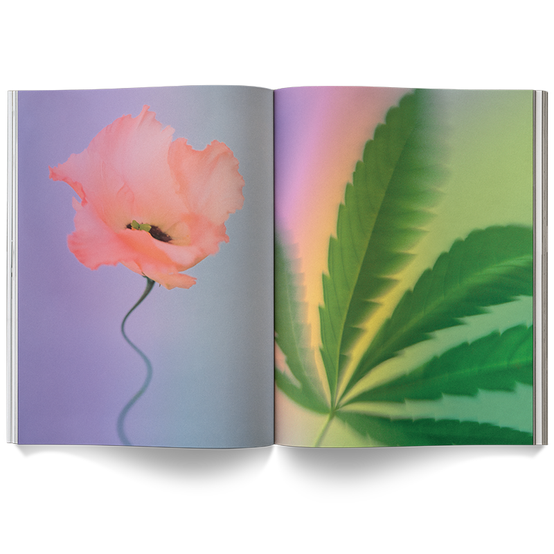 A Weed is a Flower Coffee Table Book