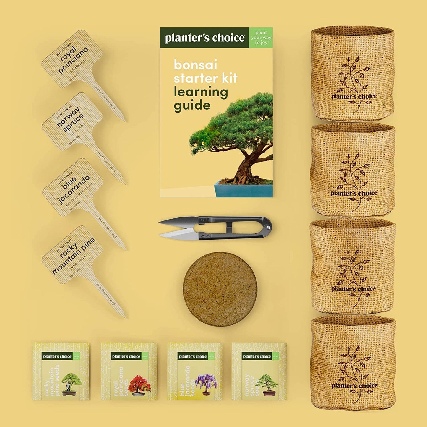 Bonsai Starter Kit