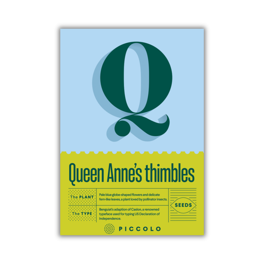 Q - Queen Anne’s thimbles