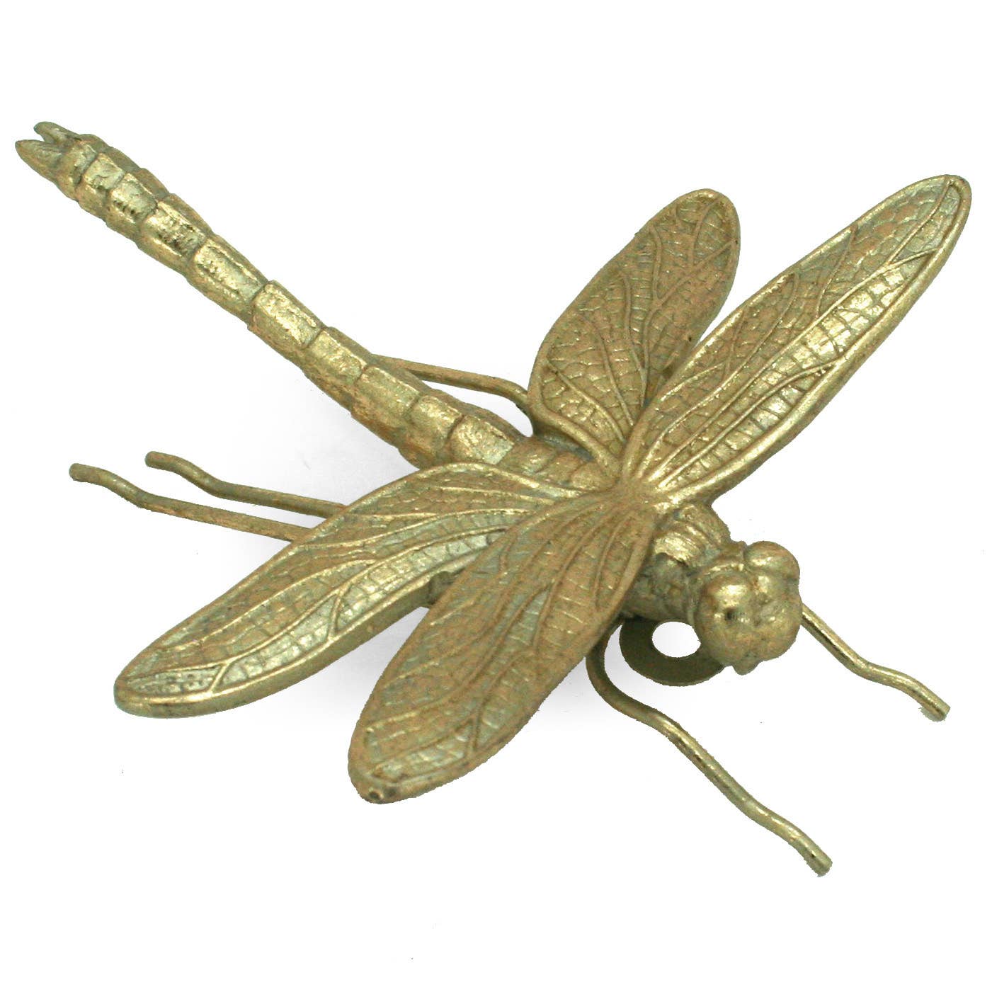 Golden Dragon Fly