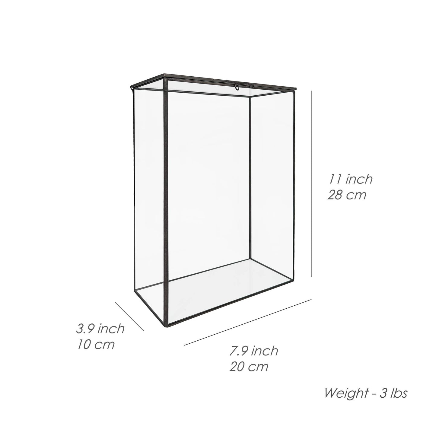 Bookshelf Glass Terrarium Plus Light