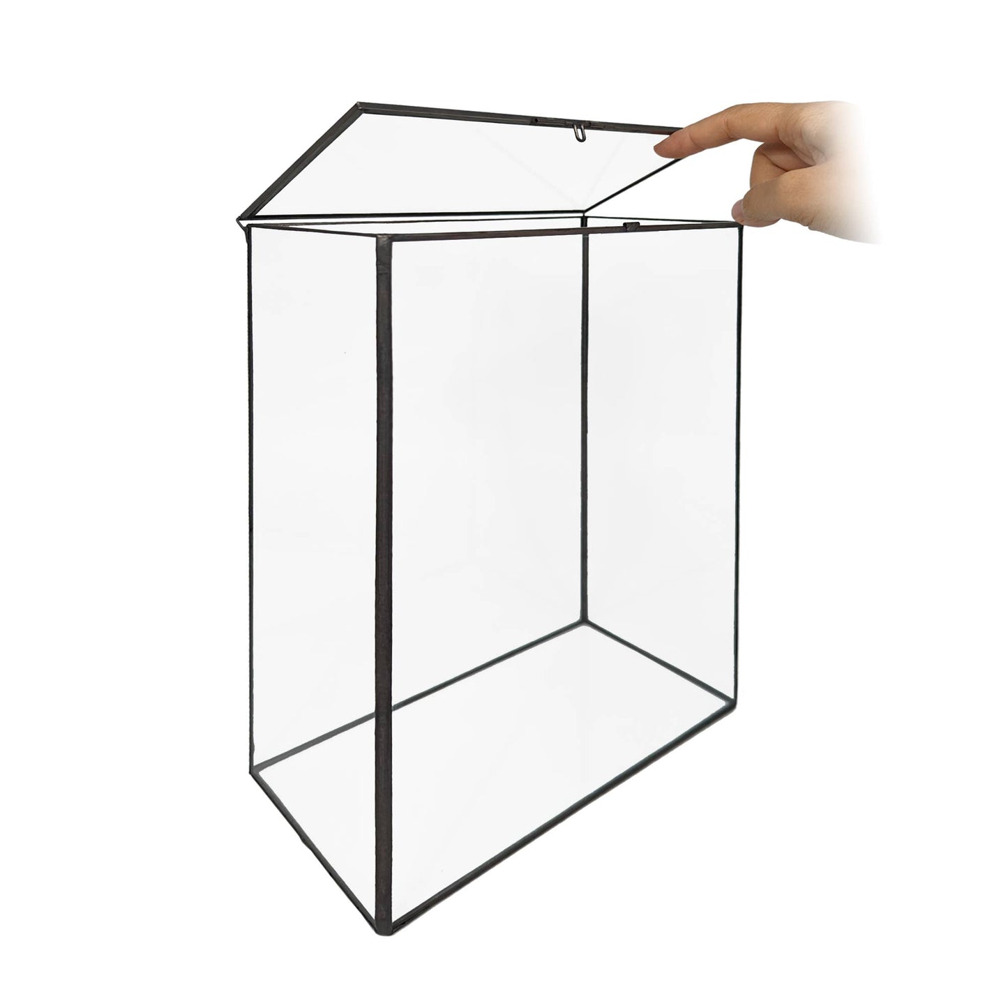 Bookshelf Glass Terrarium Plus Light