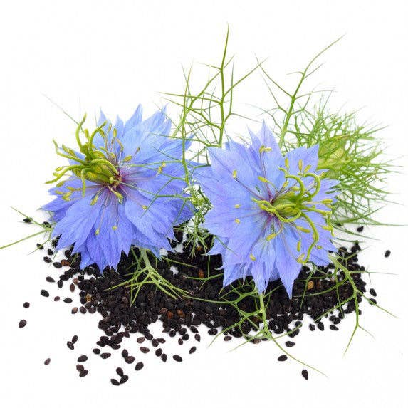 Nigella Black Cumin