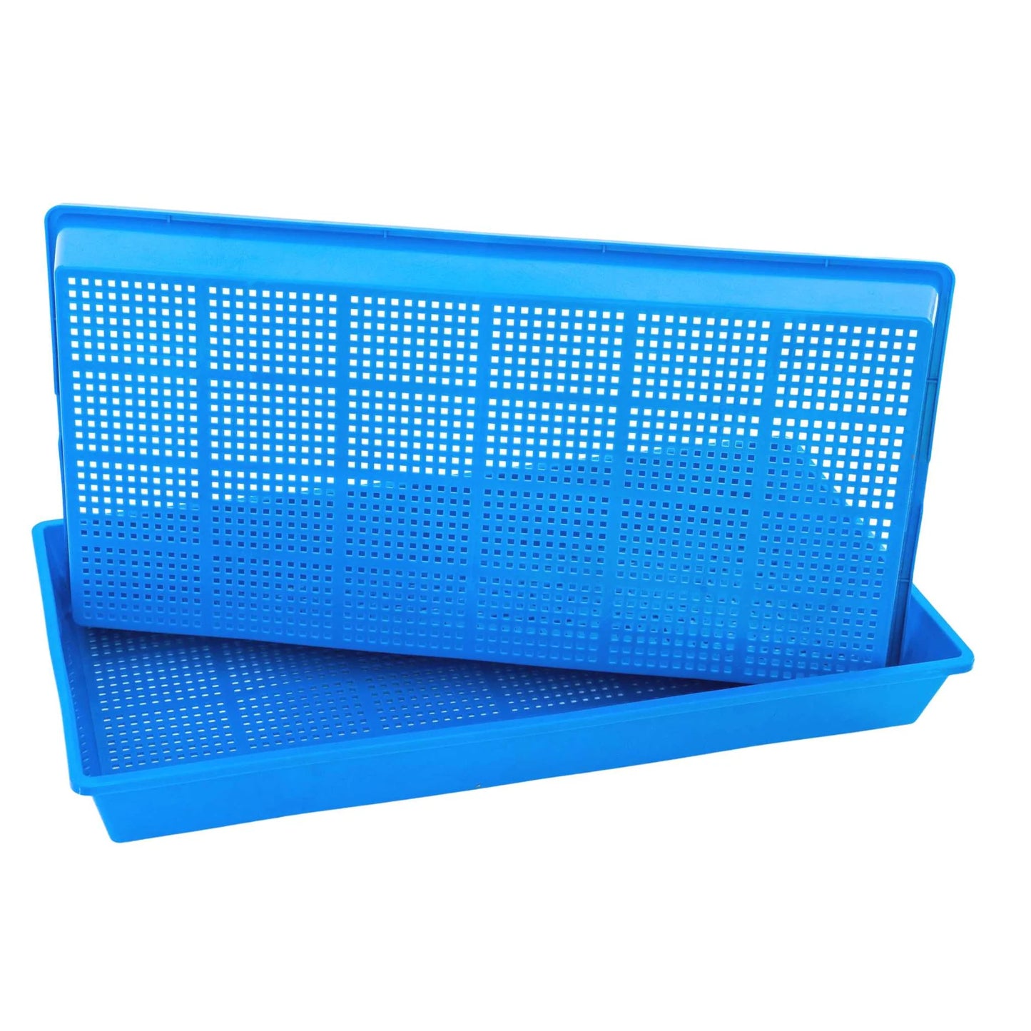 1020 Deep Propagation Trays HOLES MESH