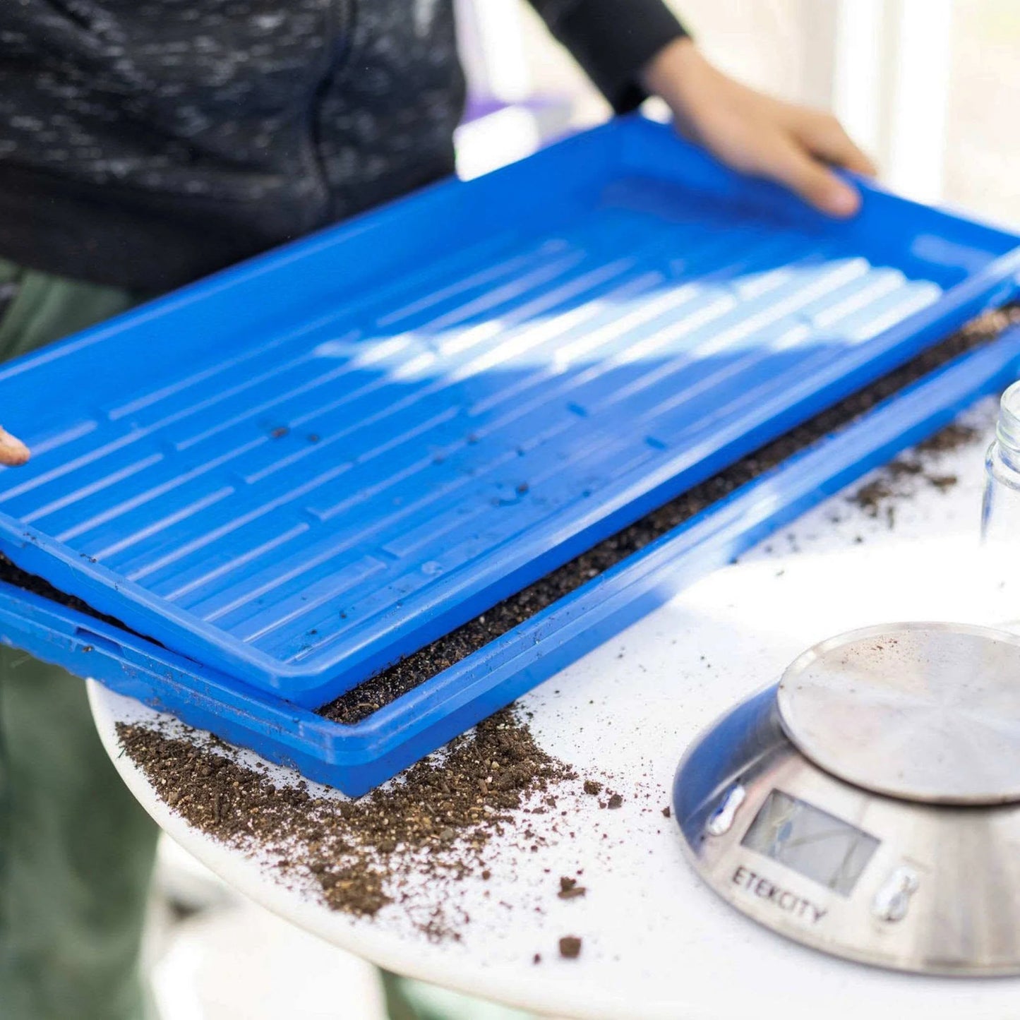 1020 Shallow Microgreen Trays NO HOLES