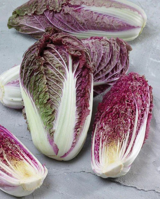 Seeds | Cabbage Red Scarvita