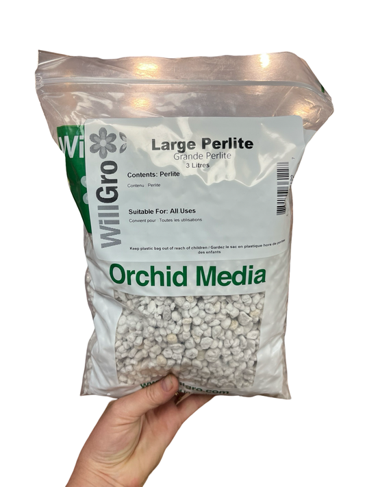 Large Perlite | Willgro