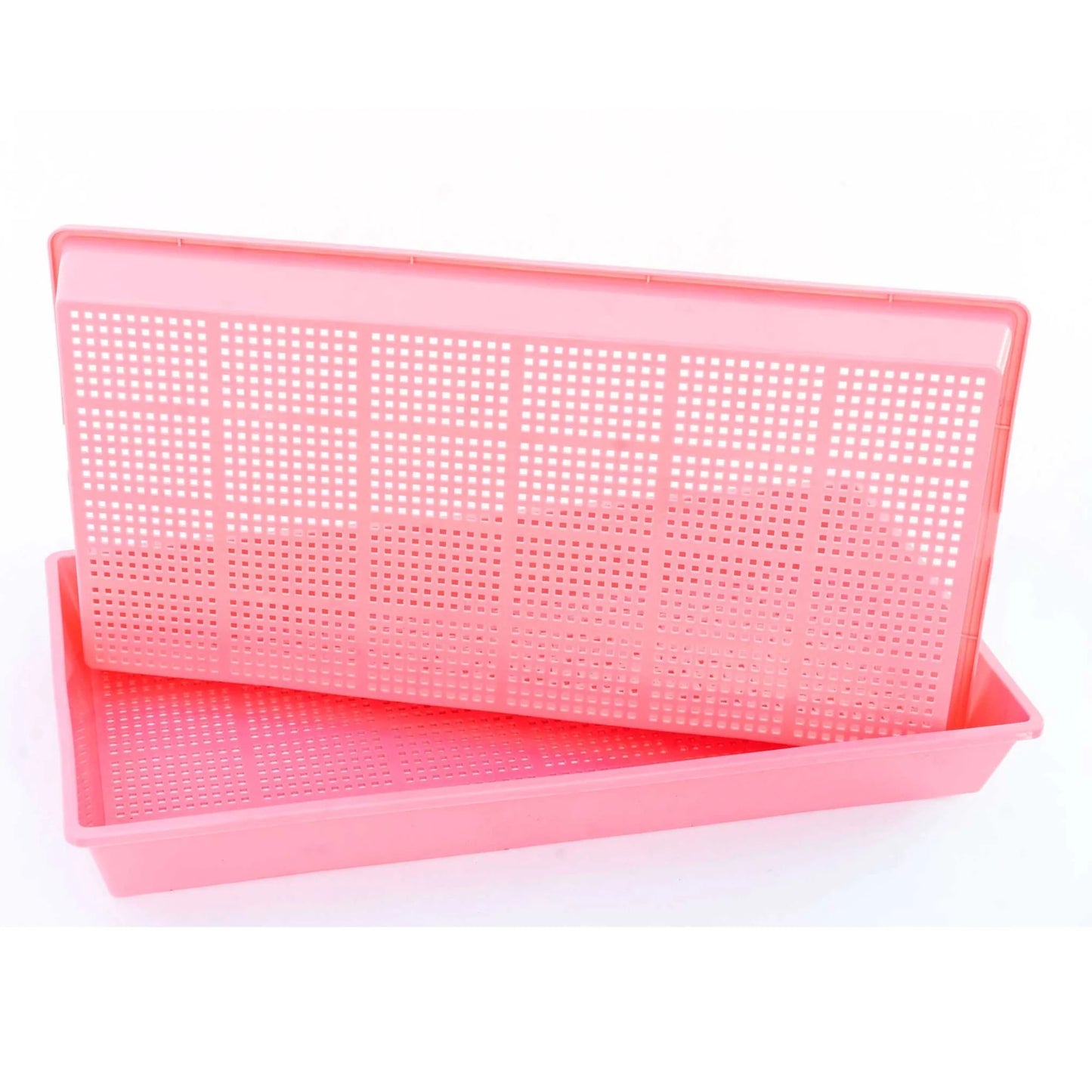 1020 Deep Propagation Trays HOLES MESH