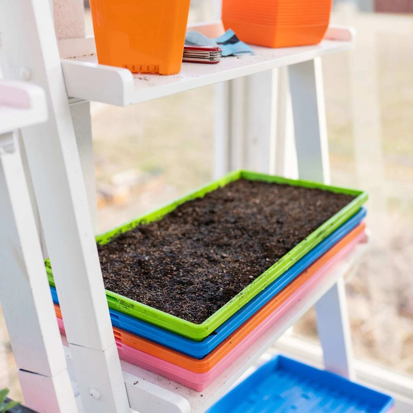 1020 Shallow Microgreen Trays NO HOLES