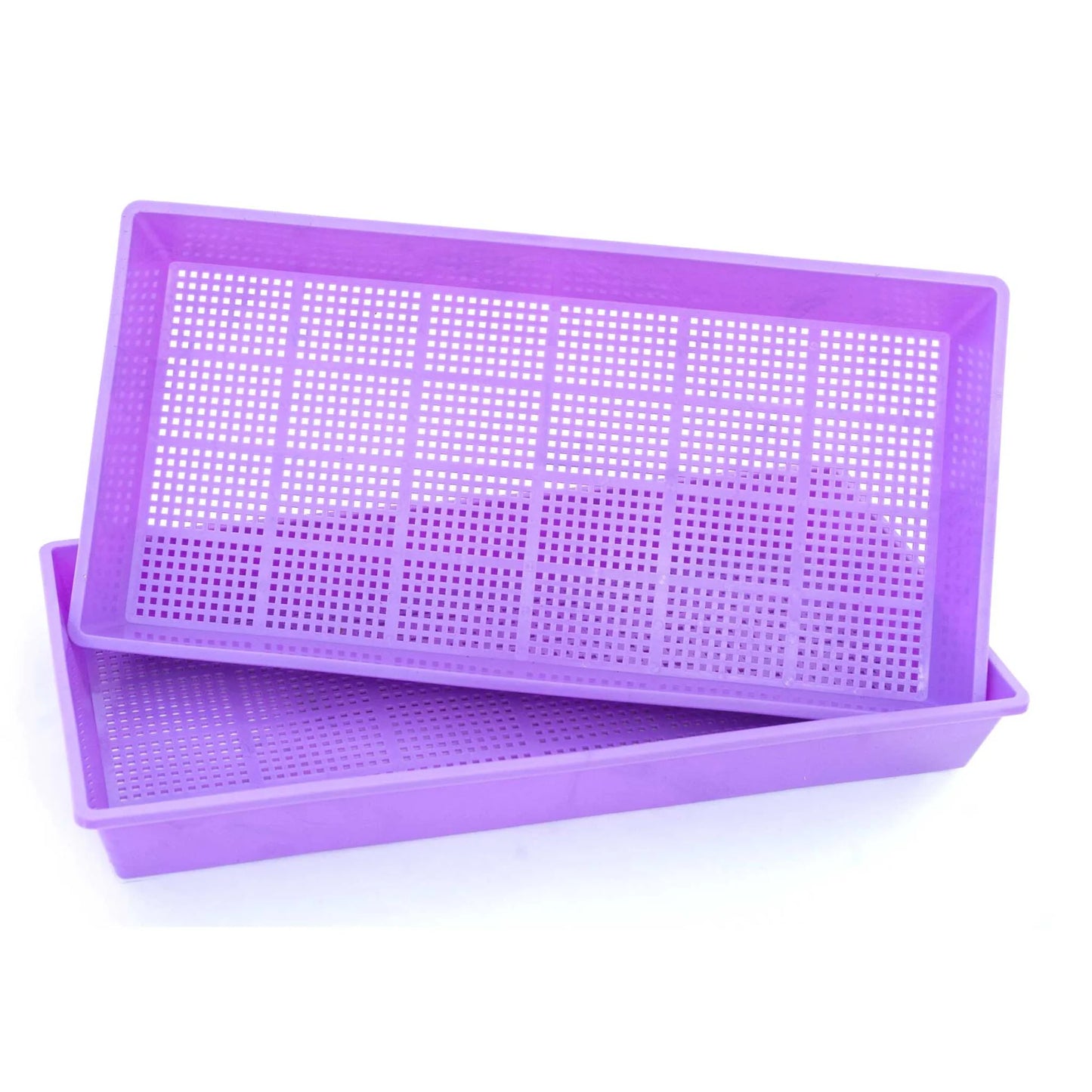 1020 Deep Propagation Trays HOLES MESH