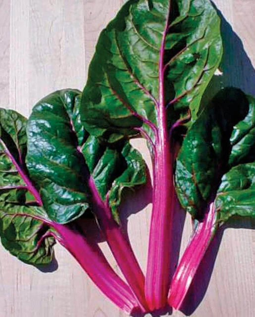 Seeds | Swiss chard Magenta Sunset