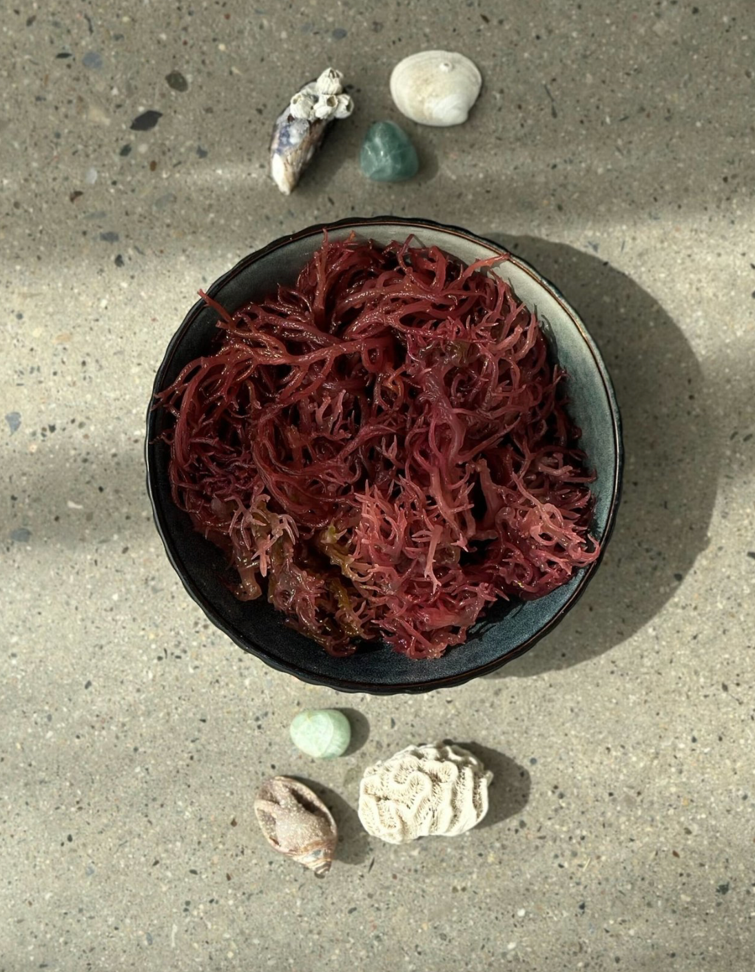 St. Lucian Purple Sea Moss