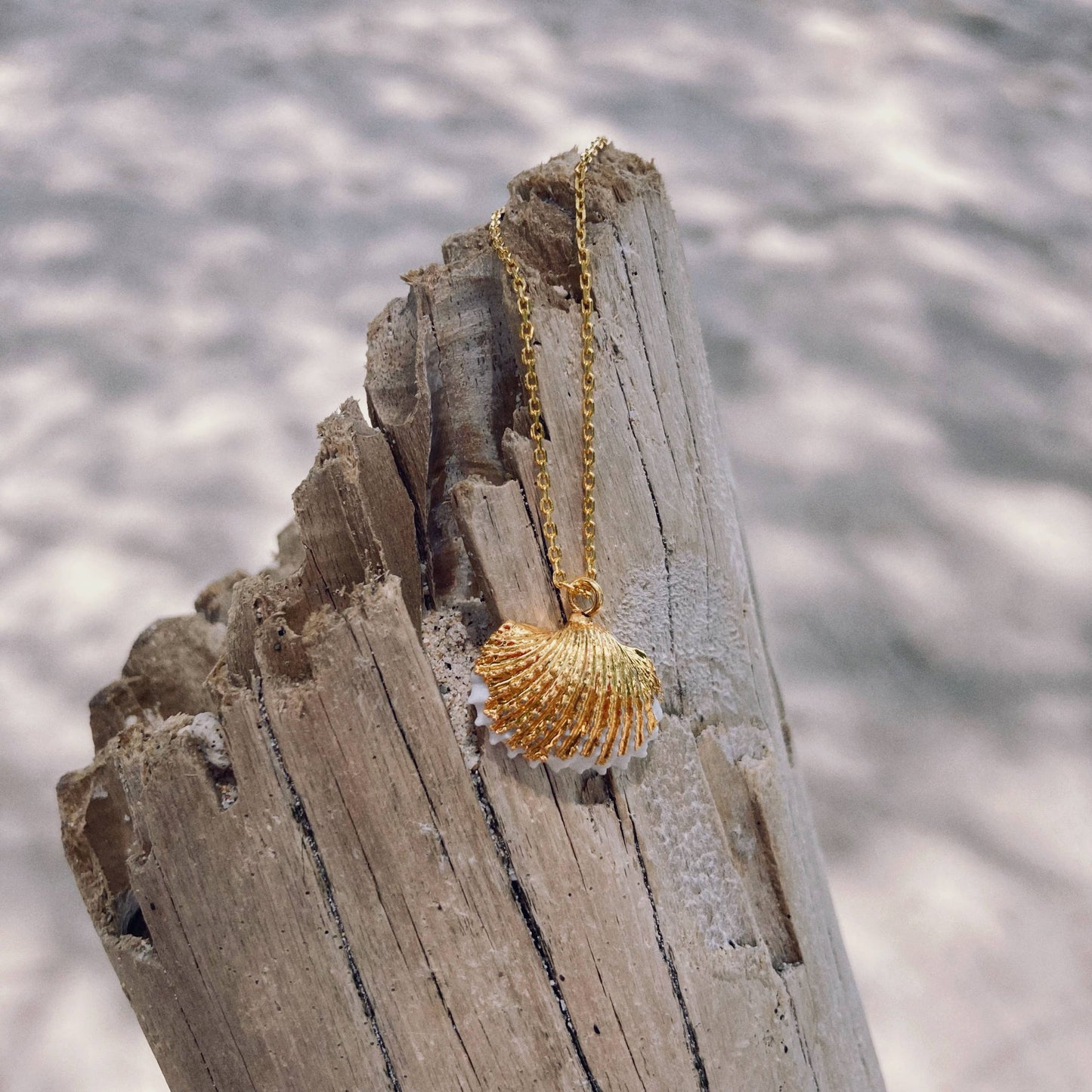 Mermaid Flat Clam Shell Necklace