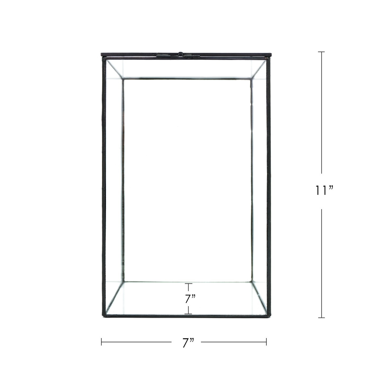 Little Forest Glass Terrarium Container Plus Light