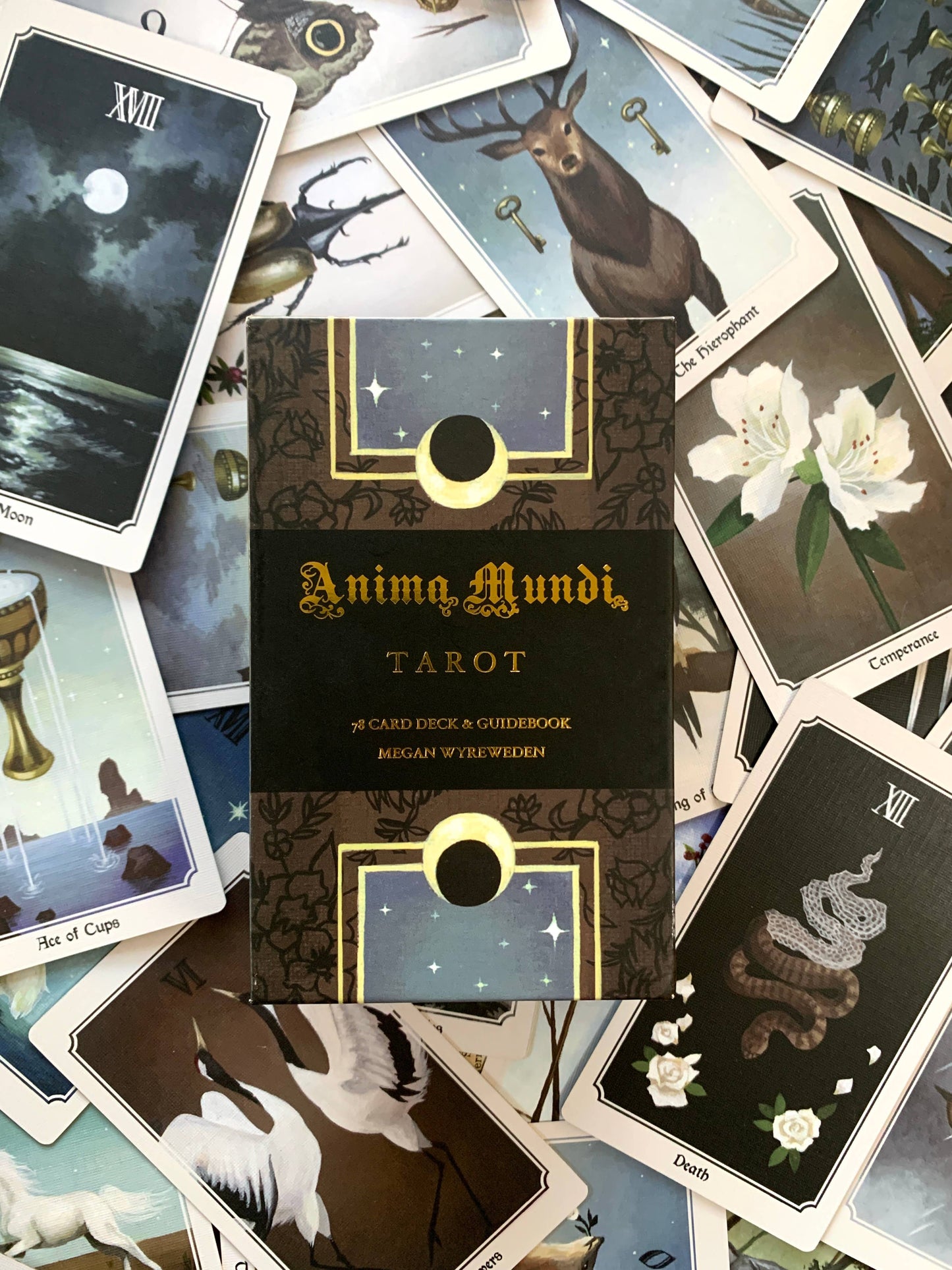 Anima Mundi Tarot Deck