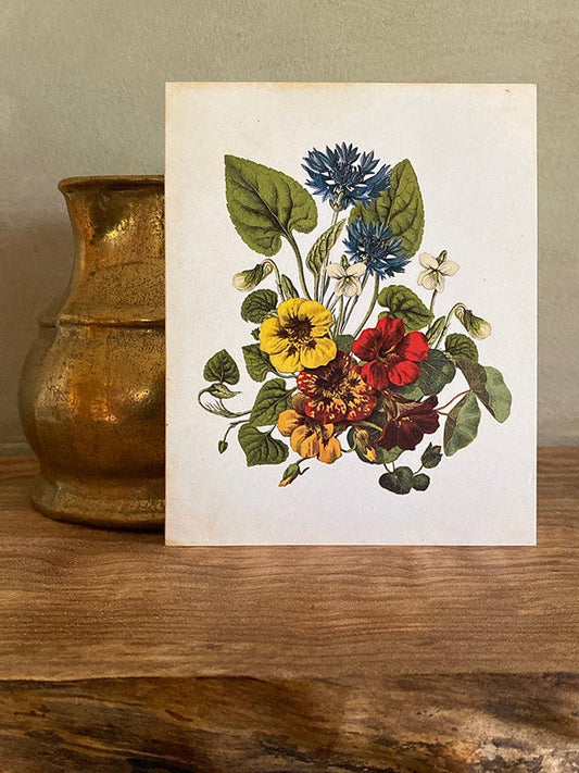 Greeting Card | Edible Flowers