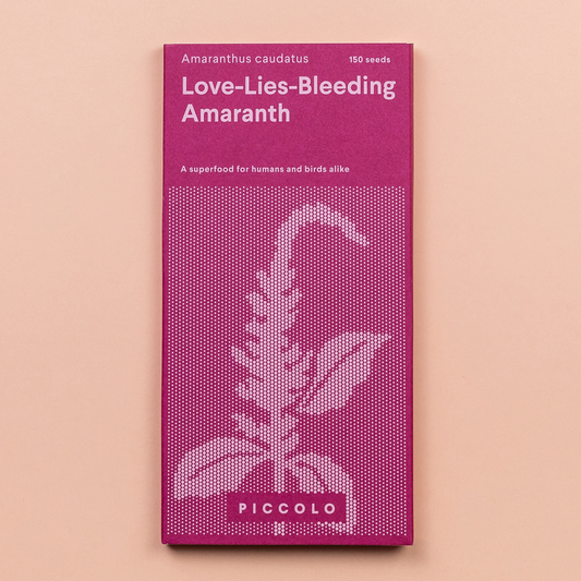 Amaranth 'Love Lies Bleeding'