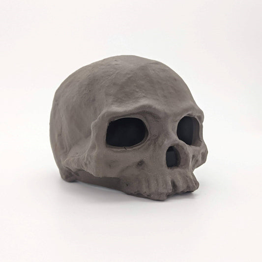 Ceramic Skull Terrarium Decor