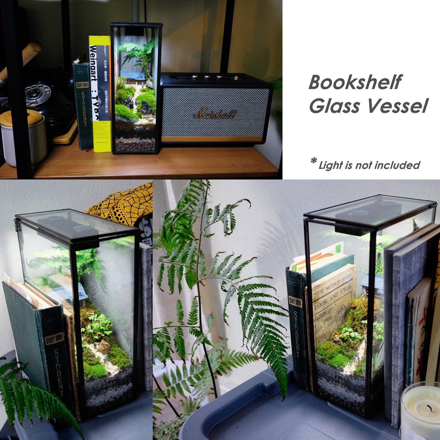 Bookshelf Glass Terrarium Plus Light