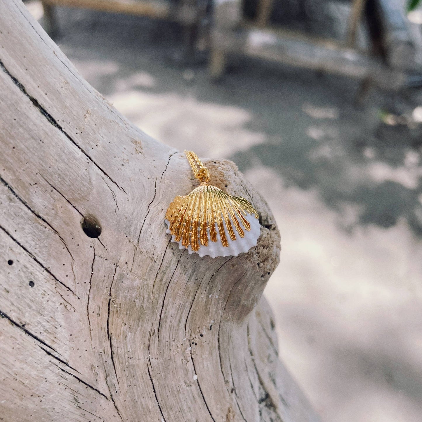 Mermaid Flat Clam Shell Necklace