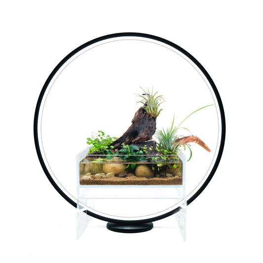 Circle Plant Grow Light w/ Display Stand