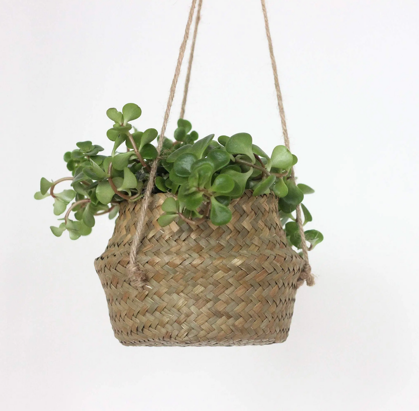 Seagrass Boho Hanging Planter