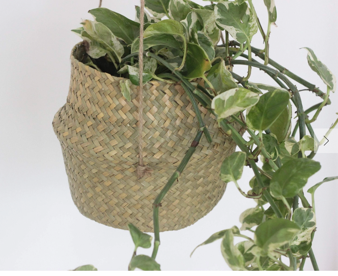 Seagrass Boho Hanging Planter